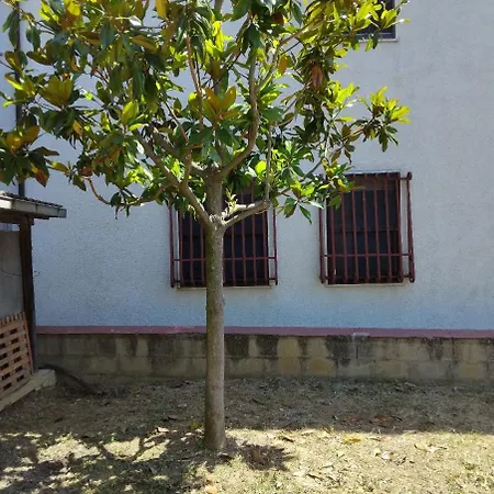 Casa Renato 2 * Silvi Paese